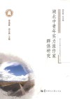湖北中青年实力派作家群体研究 封面