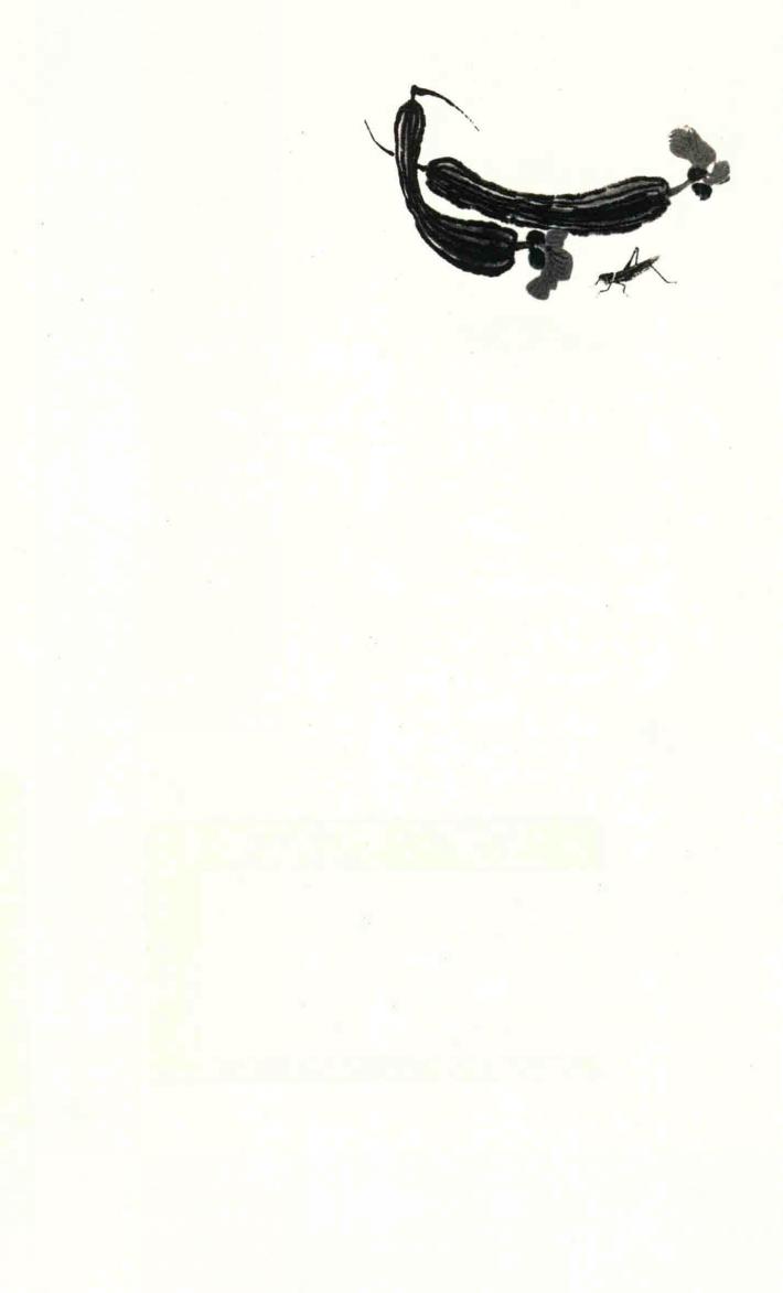 北斗丛书  中国散文史  精编版 封面