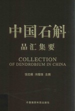 中国石斛品汇集要 封面