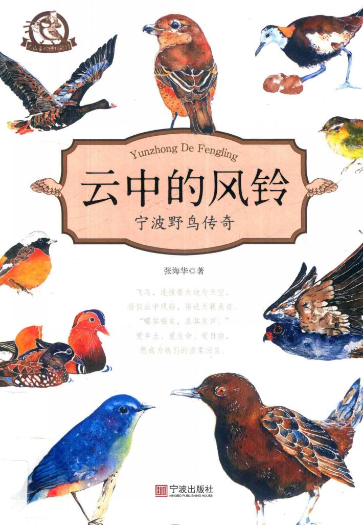 云中的风铃  宁波野鸟传奇 封面