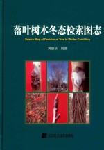 落叶树木冬态检索图志 封面