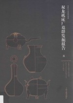 双龙机床厂墓群发掘报告  5 封面