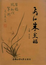 飞仙朱炎昭 封面