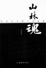 山林魂  中篇小说 封面