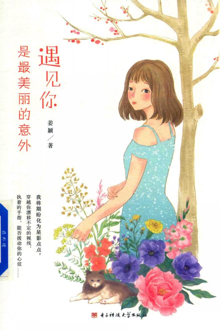 长篇小说  遇见你，是最美丽的意外 封面