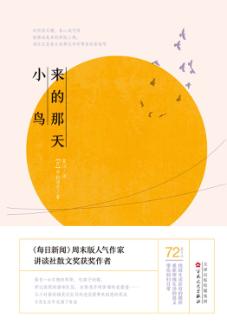 小鸟来的那天 封面