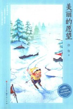 美丽的愿望 封面