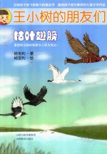 王小树的朋友们   枯叶翅膀 封面