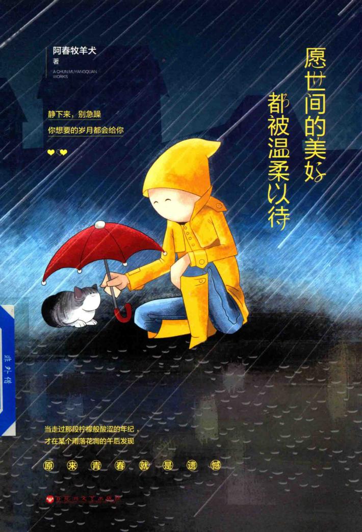 愿世间的美好都被温柔以待 封面