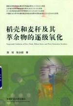稻壳和麦秆及其萃余物的逻级氧化 封面