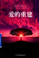 爱的重建 封面