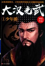 少年游  大汉光武  1 封面
