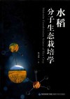 水稻分子生态栽培学 封面