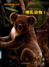 哺乳动物  1 封面
