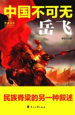 奥森文库民族英雄系列  中国不可无岳飞 封面