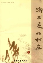 淘不走的村庄 封面