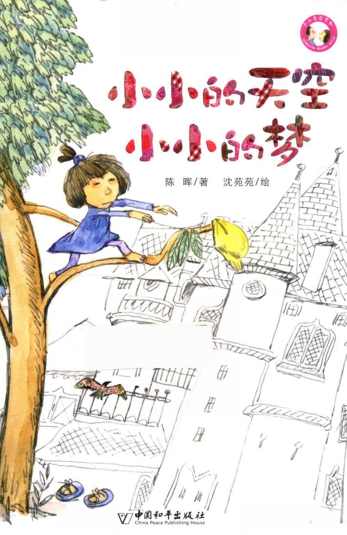 小小的天空小小的梦 封面