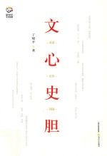 文心史胆 封面