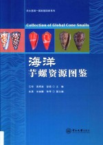 海洋芋螺资源图鉴 封面
