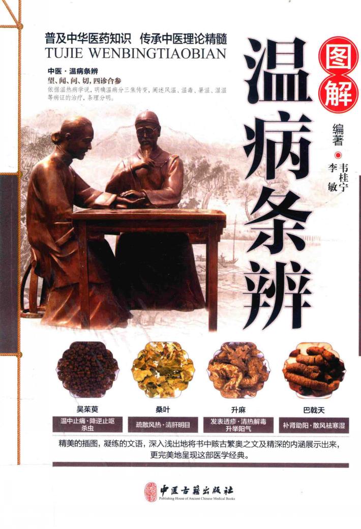 图解温病条辨 封面