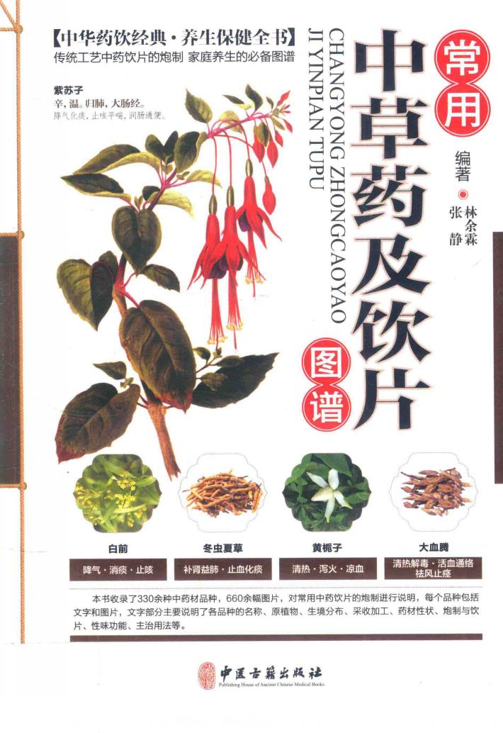 常用中草药及饮片图谱 封面