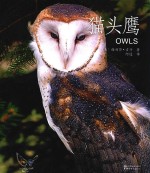 猫头鹰 封面
