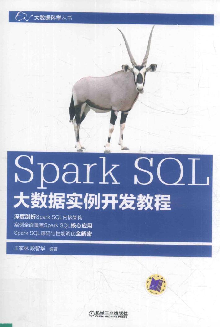Spark SQL大数据实例开发教程 封面