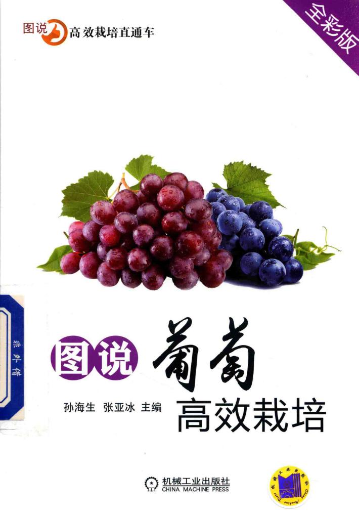 图说葡萄高效栽培  全彩版 封面