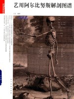 艺用阿尔比努斯解剖图谱 封面