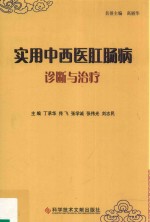 实用中西医肛肠病诊断与治疗 封面
