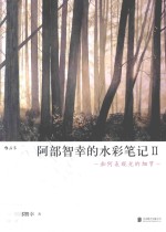 阿部智幸的水彩笔记  2  如何表现光的细节 封面