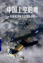 中国上空的鹰  苏联援华航空志愿队战史1937-1941 封面