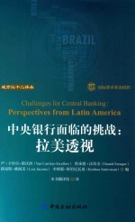 中央银行面临的挑战 封面