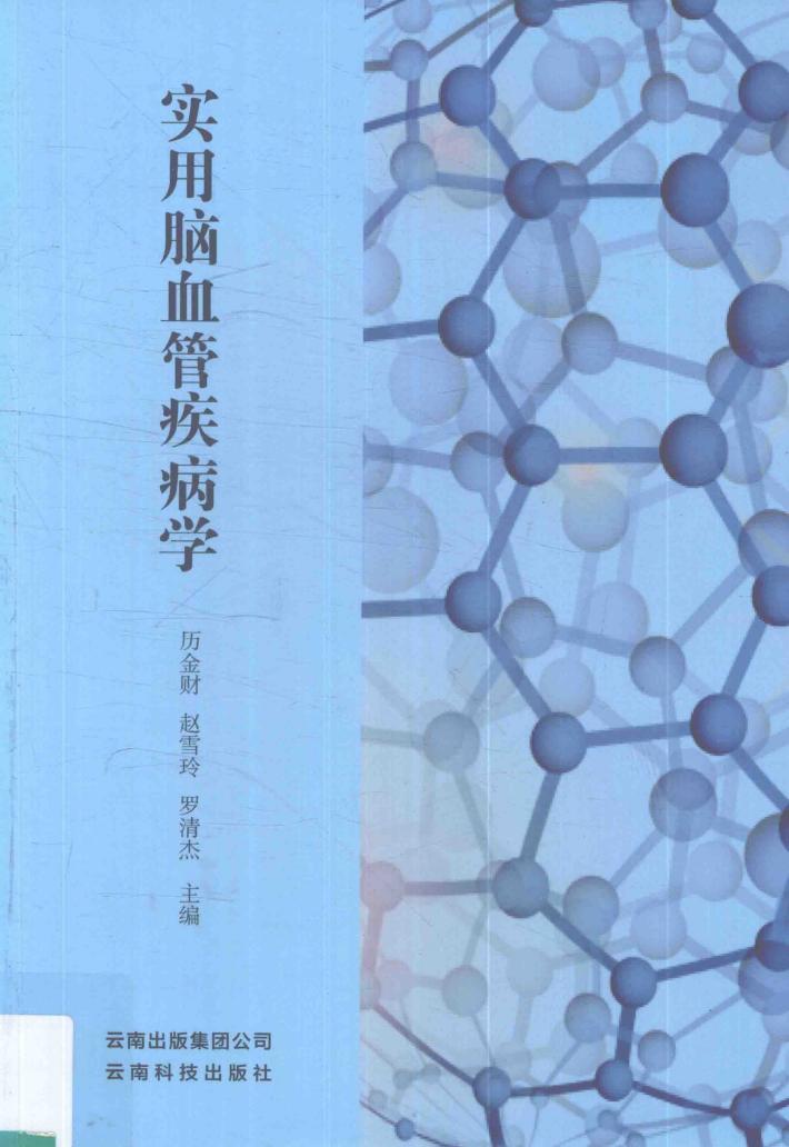 实用脑血管疾病学 封面