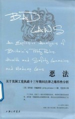 恶法  关于英国工党执政十三年期间法律之爆炸性分析 封面