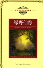 世界文学名著名译典藏  绿野仙踪  全译插图本 封面