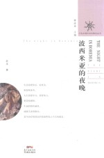 波西米亚的夜晚 封面