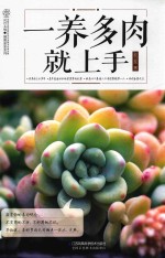 汉竹  一养多肉就上手 封面