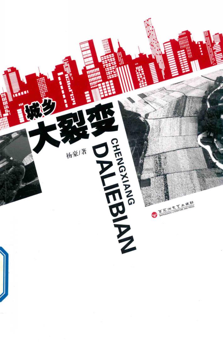 城乡大裂变 封面