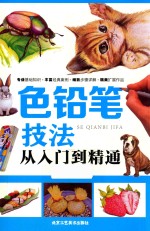 色铅笔技法从入门到精通 封面