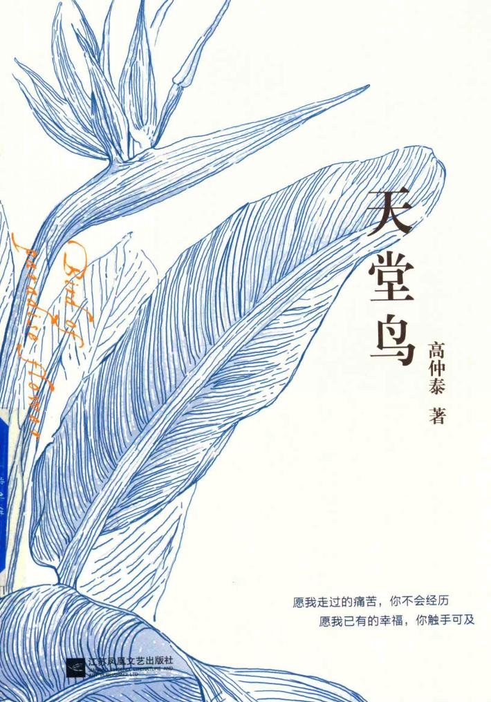 天堂鸟 封面