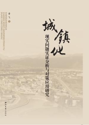城镇化现实问题实证分析与对策应用研究 封面