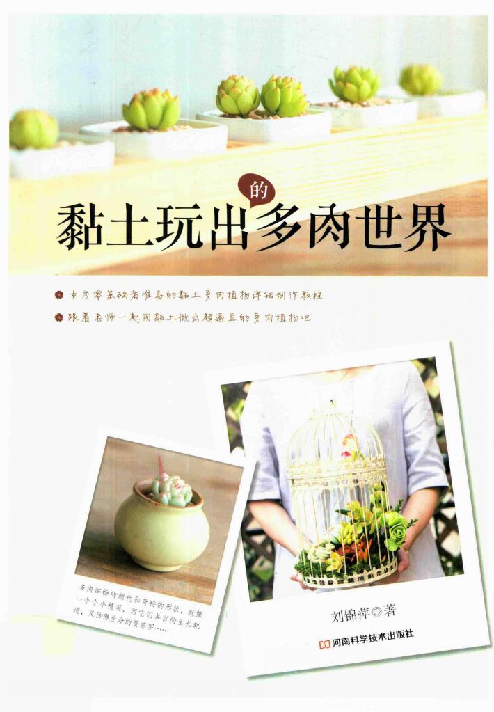 黏土玩出的多肉世界 封面