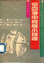 毕四海中短篇小说选 封面