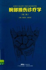 腕部损伤诊疗学  第2版 封面
