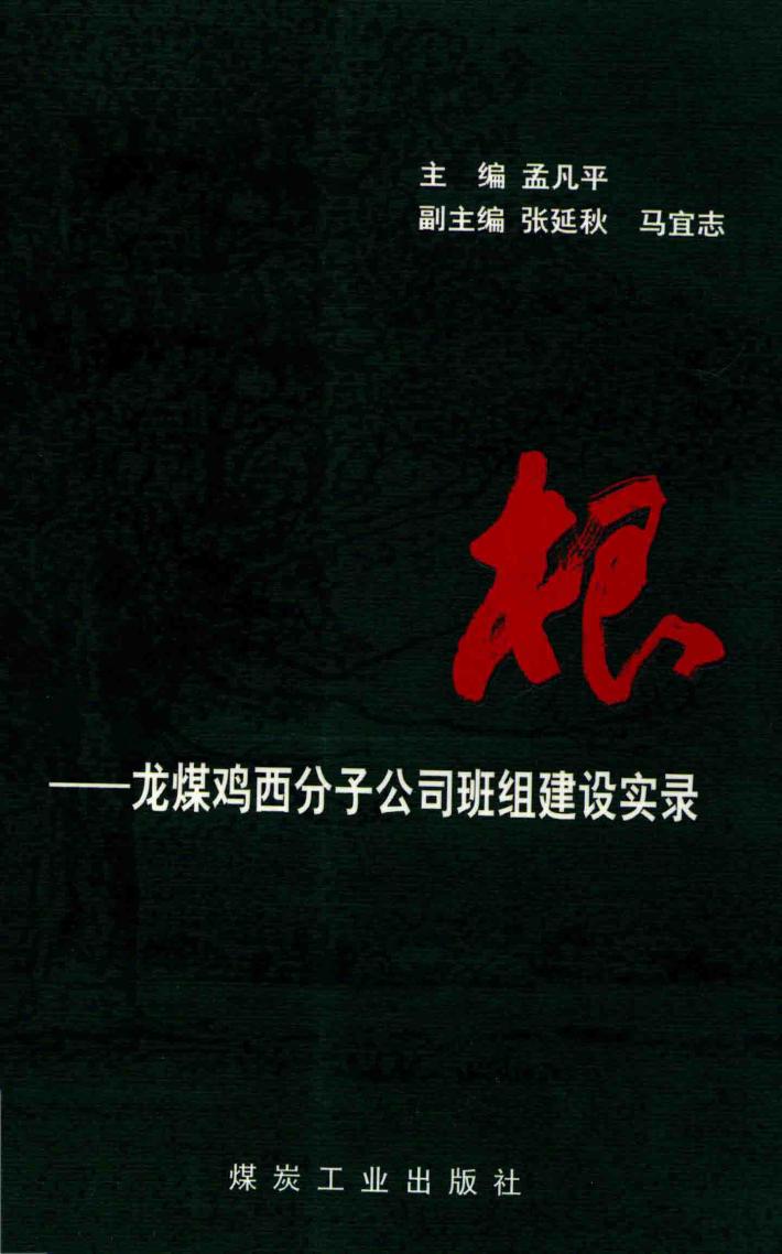 根  龙媒鸡西分子公司班组建设实录 封面