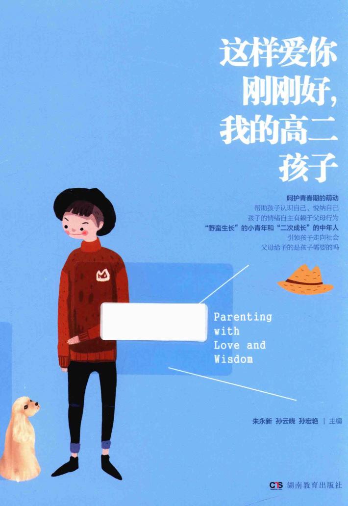 这样爱你刚刚好，我的高二孩子 封面