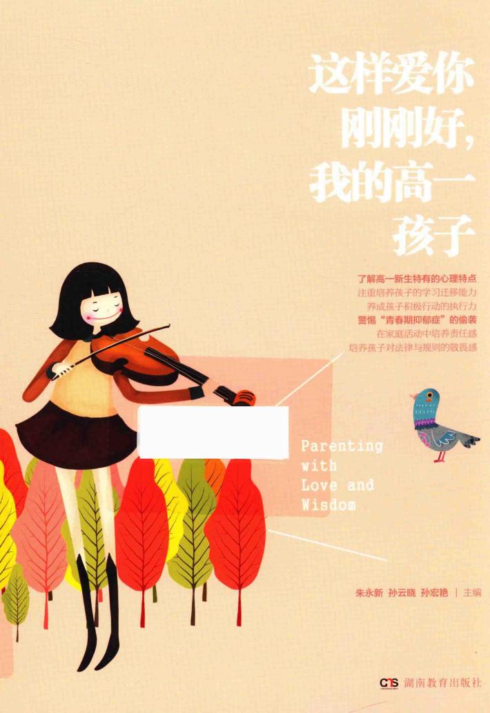 这样爱你刚刚好，我的高一孩子 封面