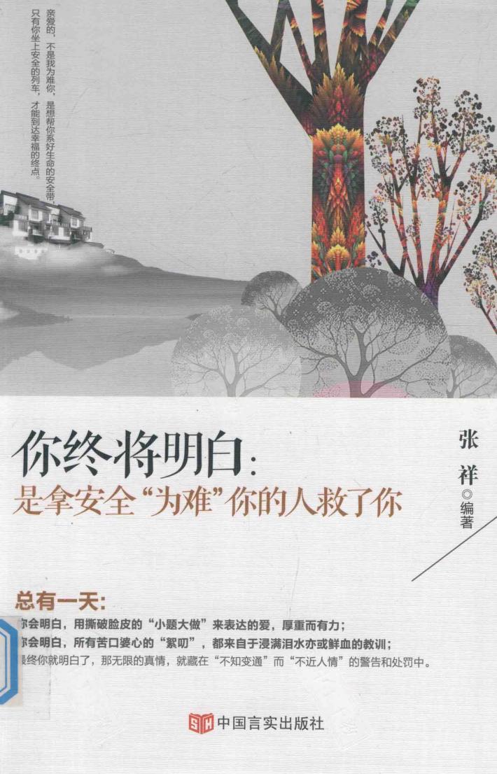 你终将明白  是拿安全“为难”你的人救了你 封面