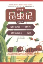 法布尔昆虫记  远征的强盗  红蚂蚁  飞舞的清道夫  绿蝇  彩绘本 封面